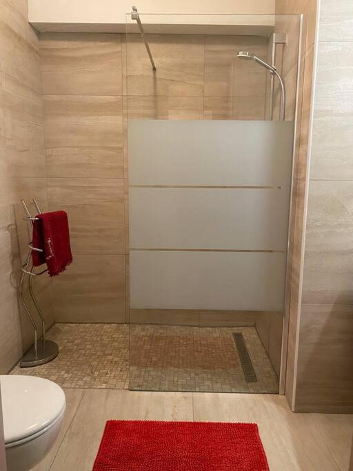 Charmant Appartement Renove Au Coeur Du Village Saint-Martin-Vesubie Bagian luar foto